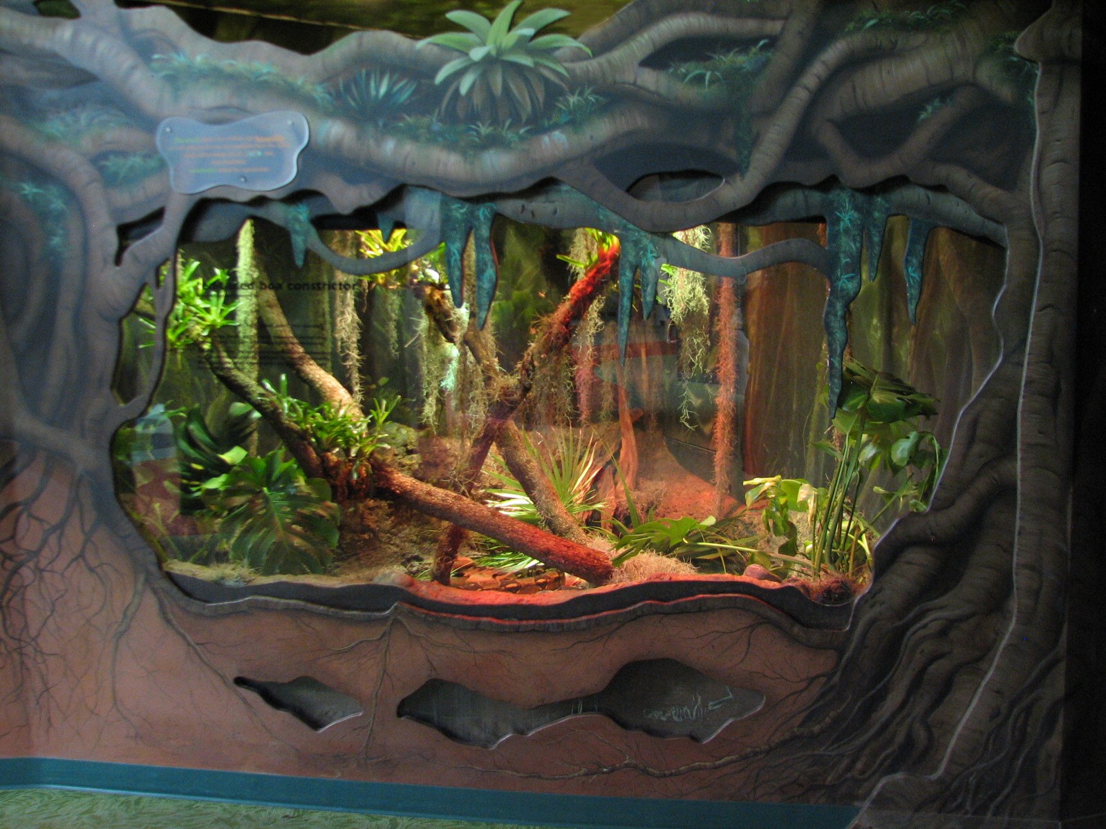 Rafikis Planet Watch - Conservation Station - Song of the Rainforest - Red-