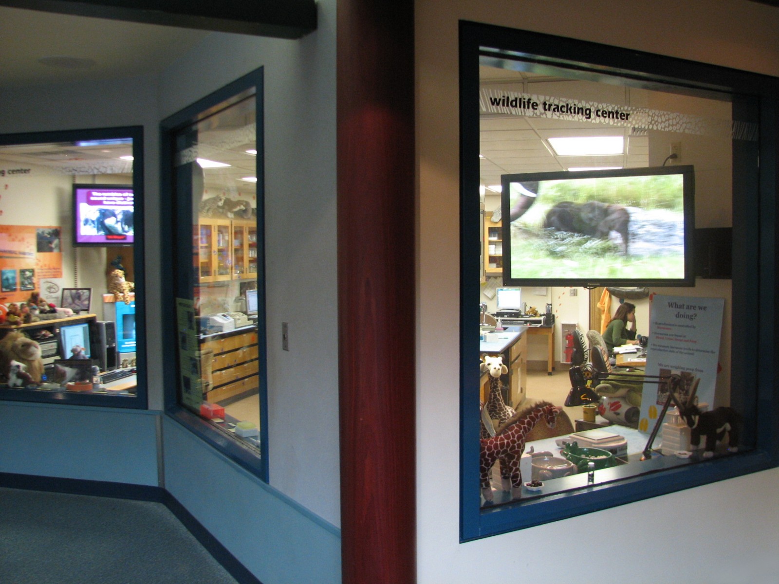 Rafikis Planet Watch - Conservation Station - Wildlife Tracking Center