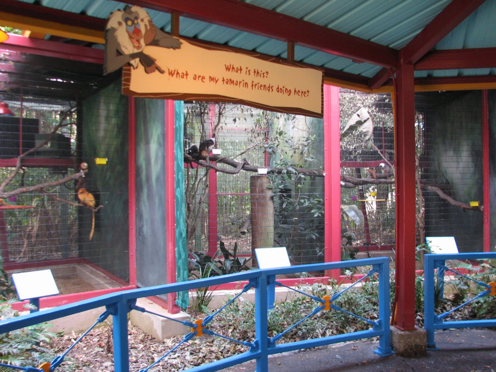 Rafikis Planet Watch - Habitat Habit! - Cottontop and Golden Lion Tamarin E