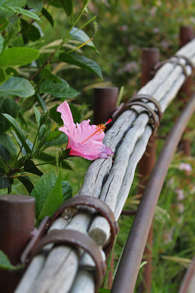 railing on Tiger Trail (far end)