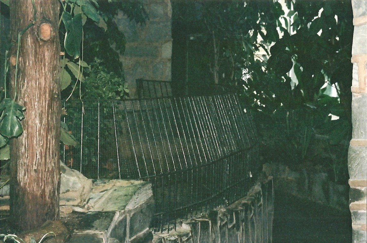 Railings in Reptile House, 16th December 2000
