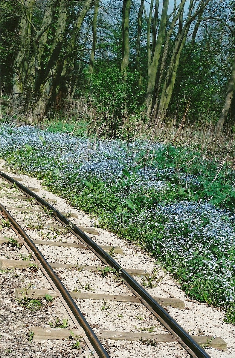 Railway 5th May 2006