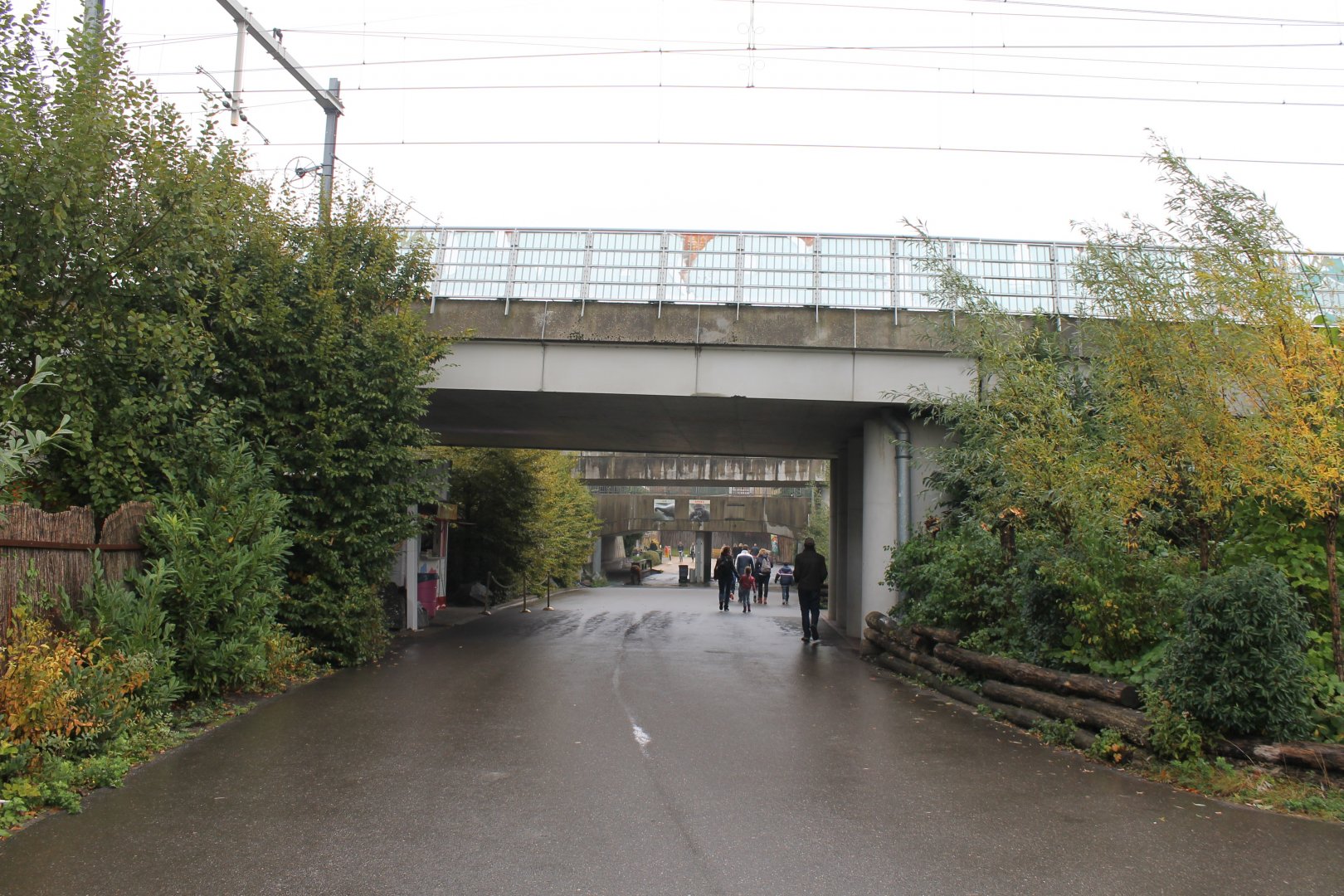 Railway-bridge through the Zoo