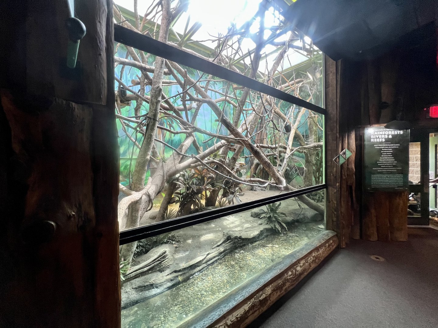 Rain Forest Building