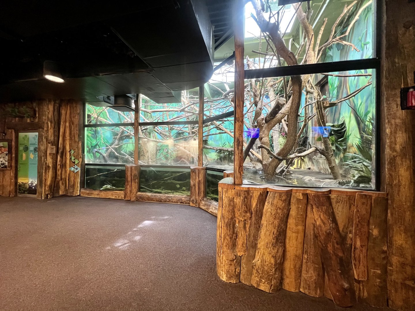 Rain Forest Building