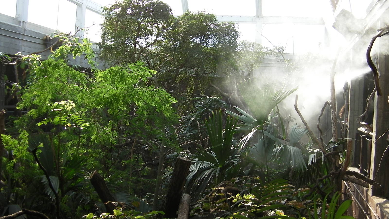 Rain Forest Exhibit - 24.03.2012