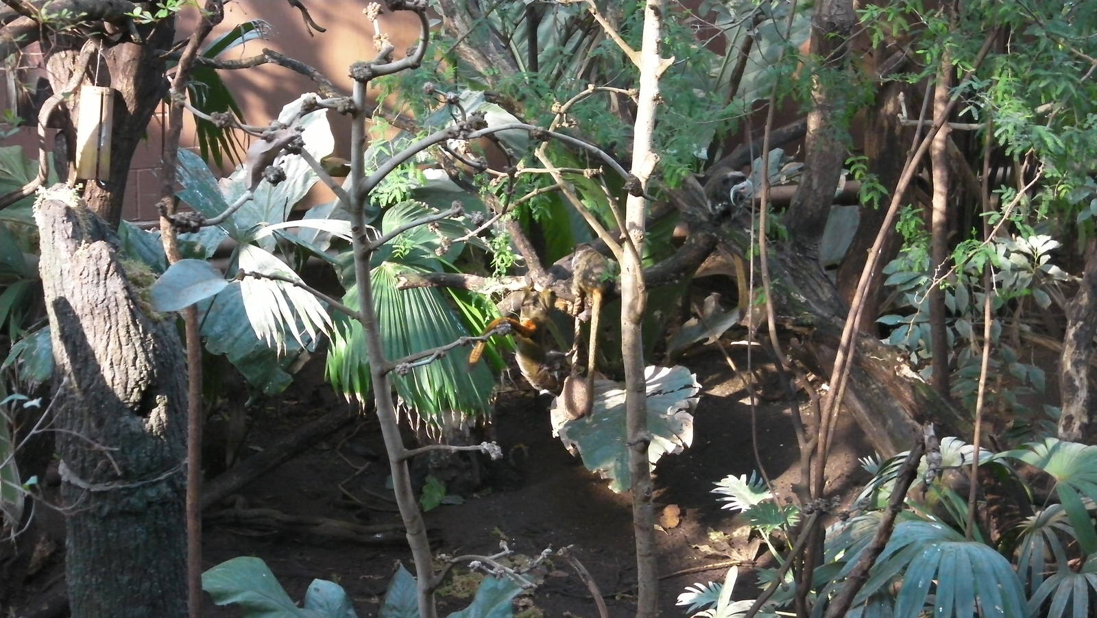 Rain Forest Exhibit - 24.03.2012