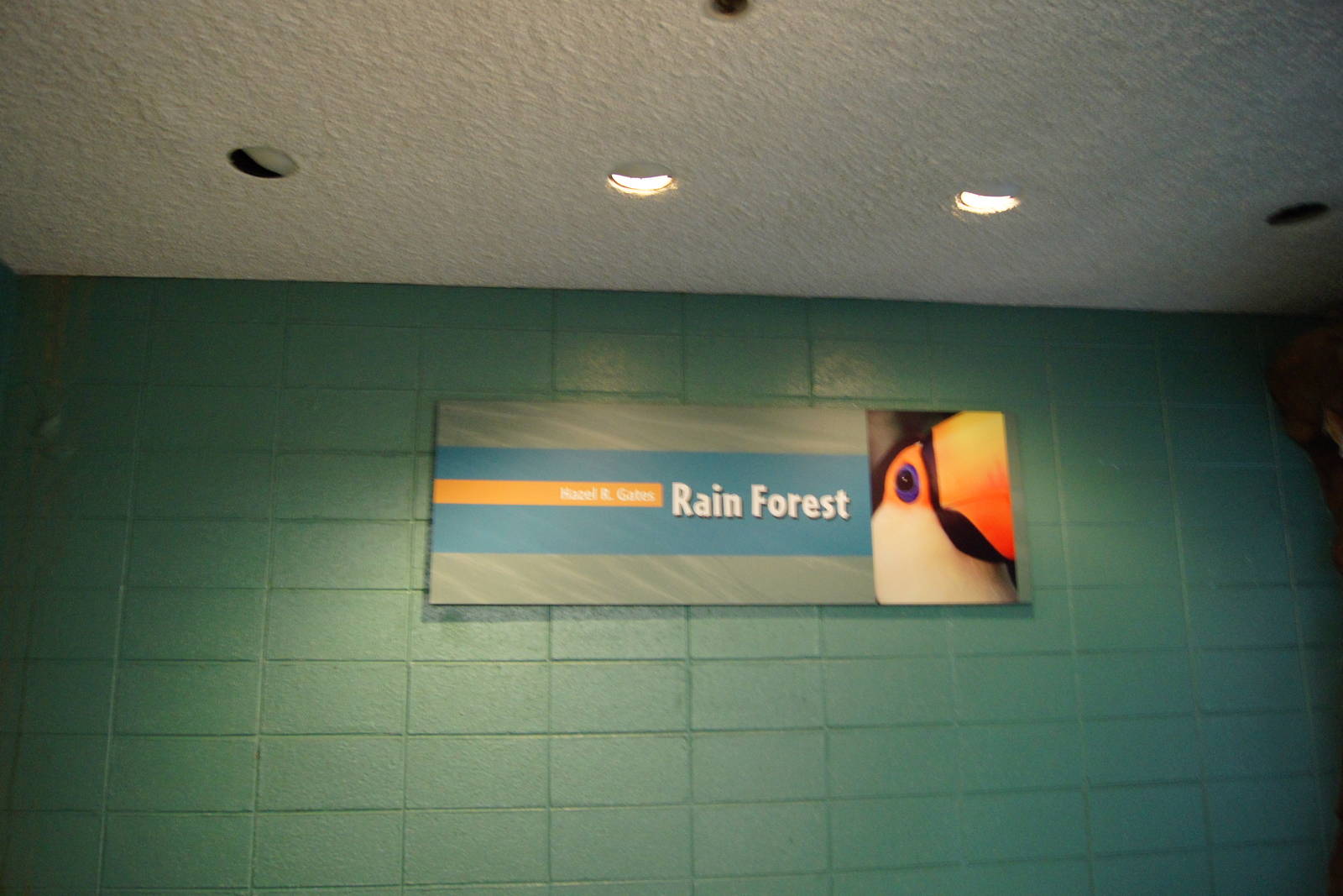Rain Forest Exhibit Entrance Sign