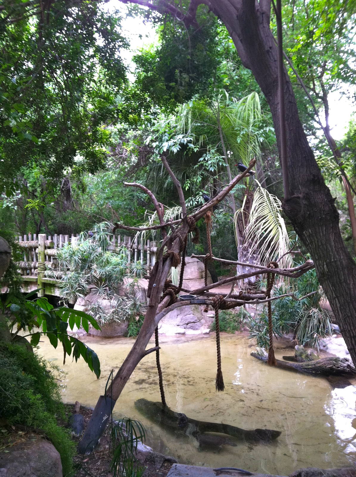 Rain Forrest exhibit