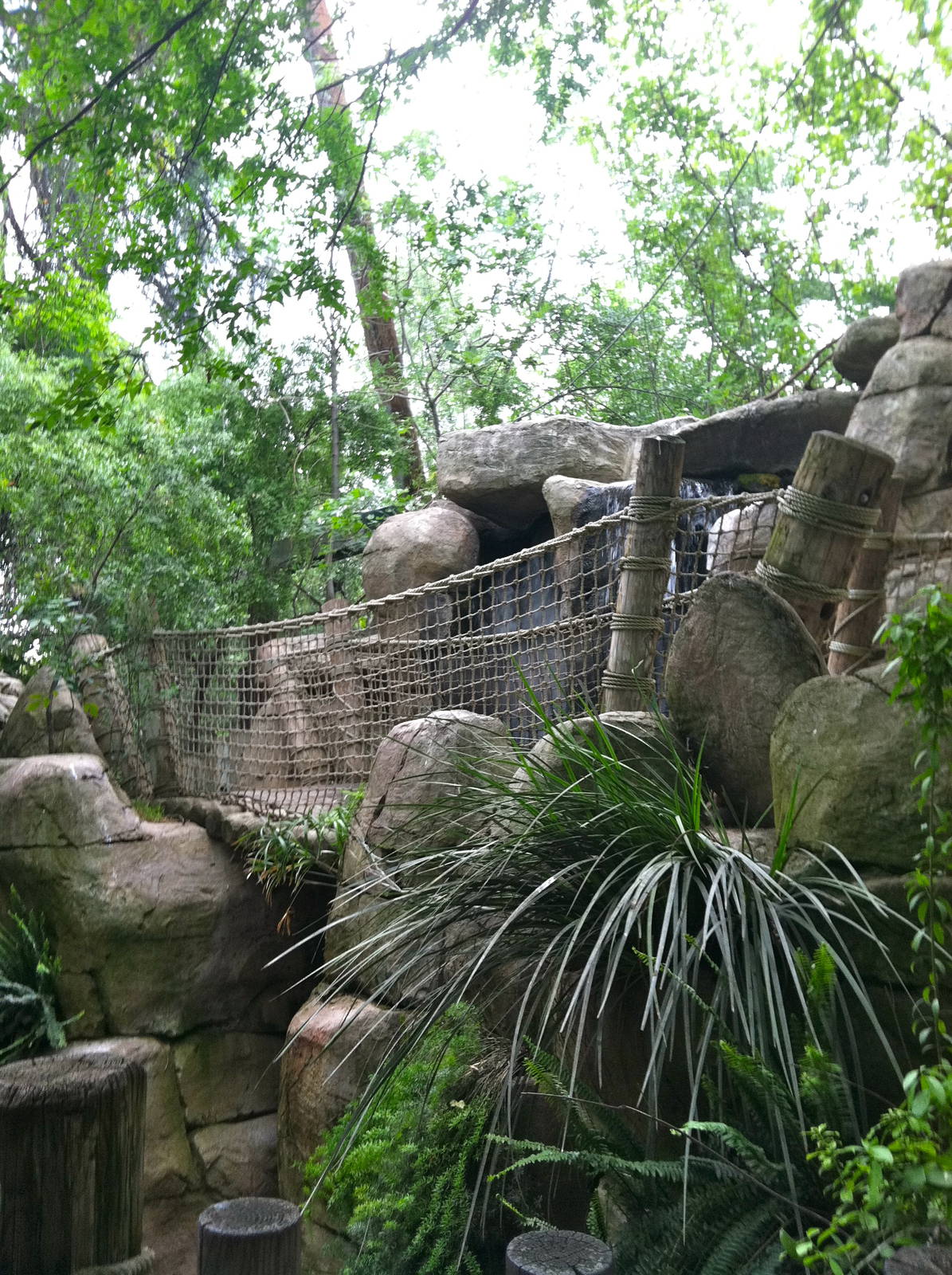Rain Forrest exhibit