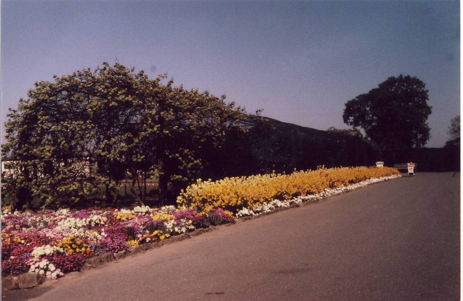 Rainbow Aviary Chester Zoo 15 May 1980