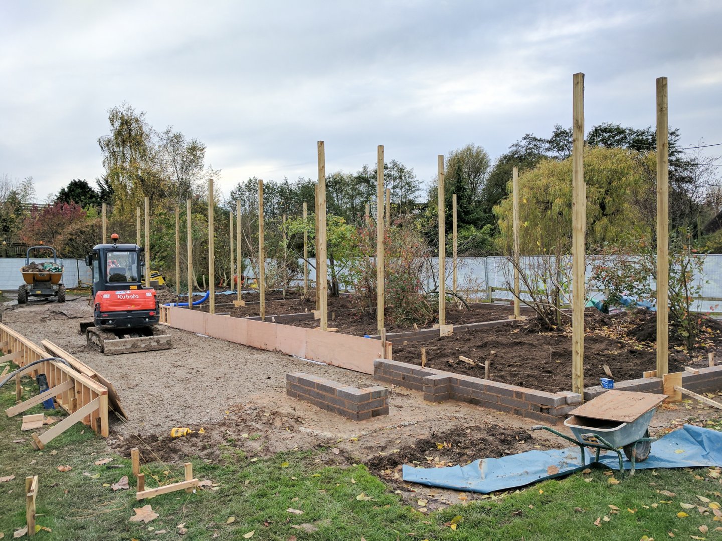 Rainbow Aviary Construction - 11/11/2016
