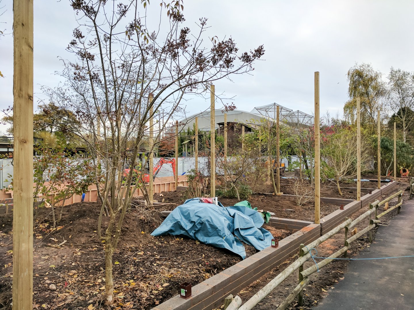 Rainbow Aviary Construction - 11/11/2016