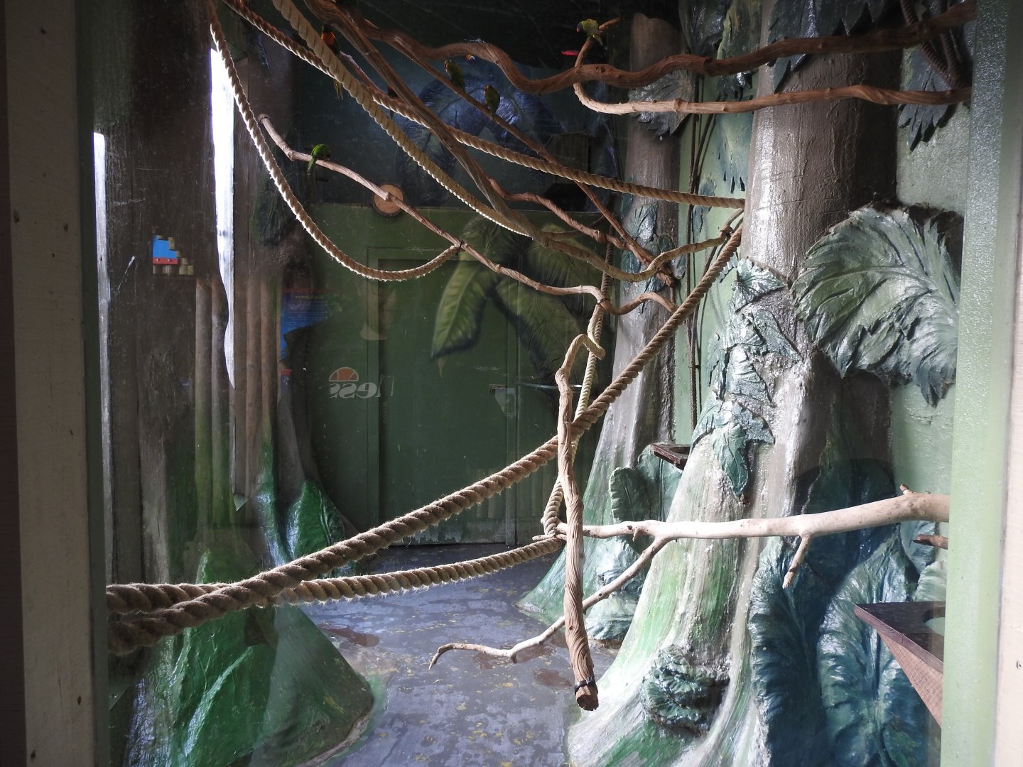 Rainbow/Coconut Lorikeet Indoor Enclosure