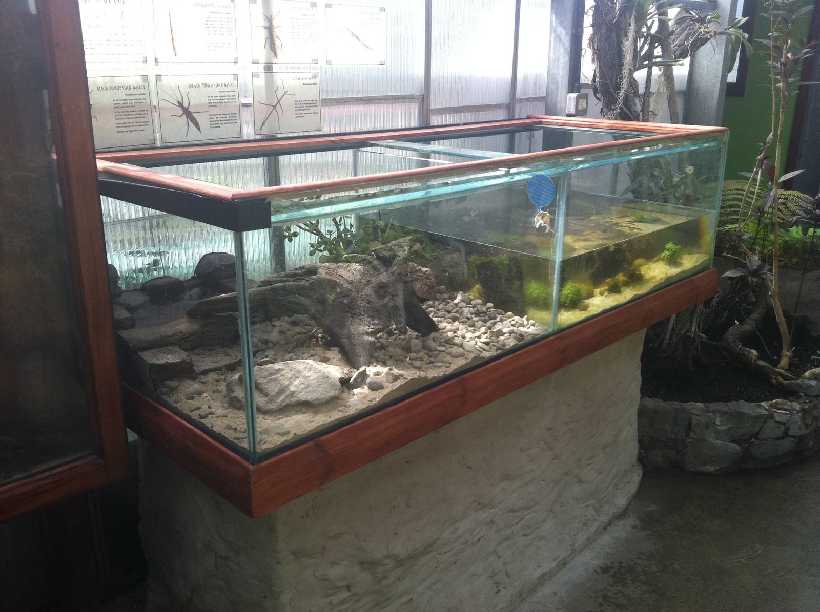 Rainbow Crab Enclosure - 24th April 2011