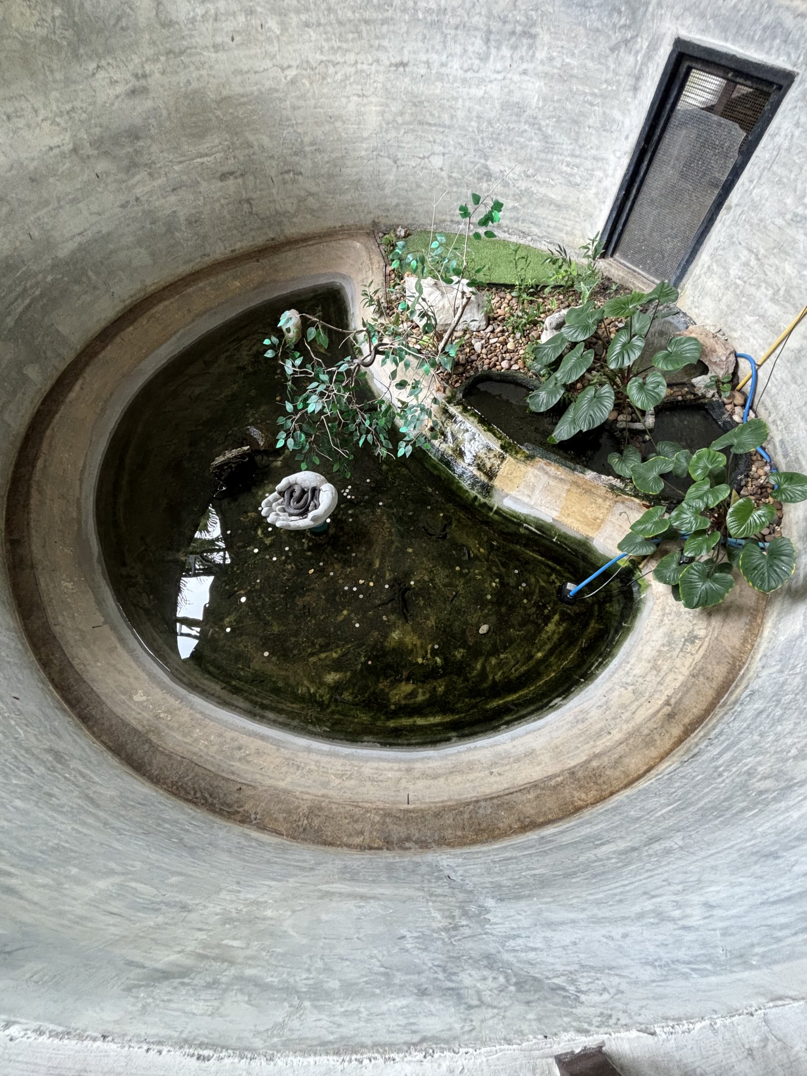 Rainbow + Jack’s Water Snakes