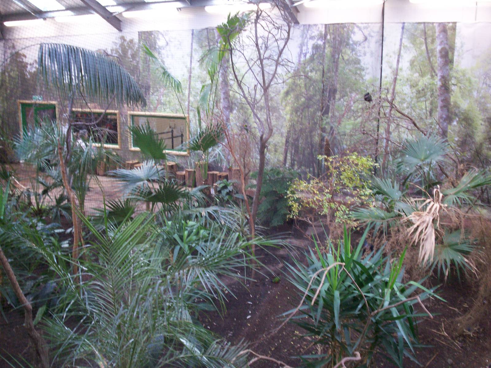 Rainbow landings at Edinburgh zoo