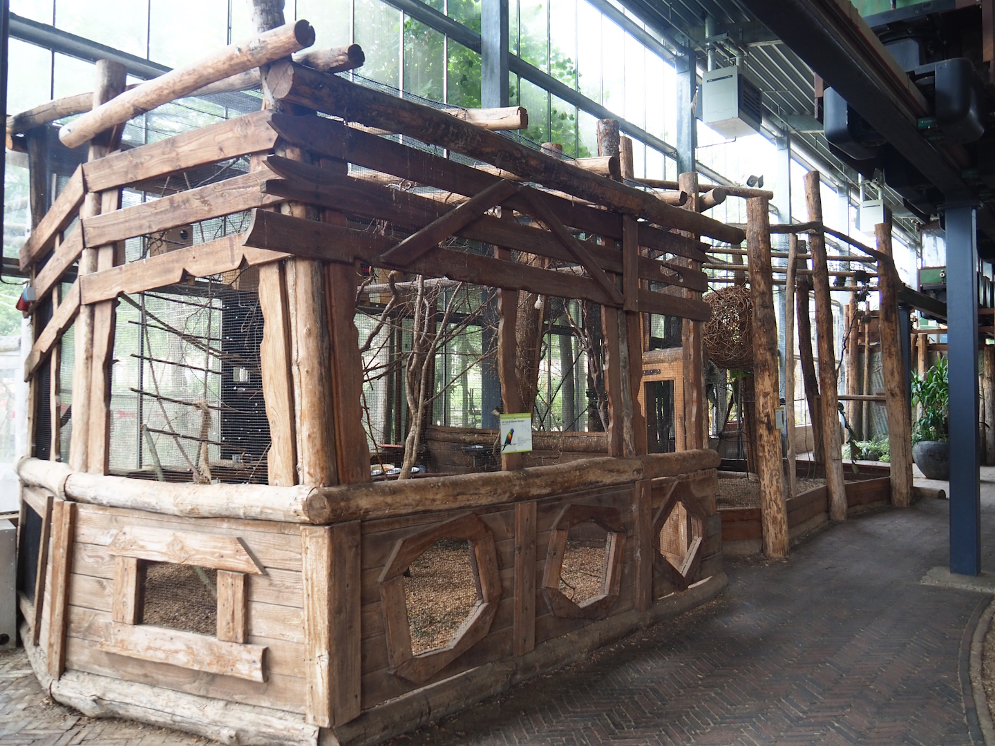 Rainbow lorikeet and Village weaver/Von der Decken's hornbill aviaries, 2023-08-17