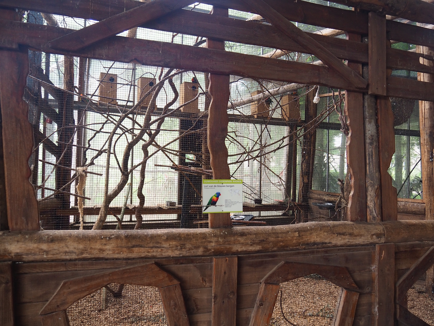 Rainbow lorikeet aviary, 2023-08-17