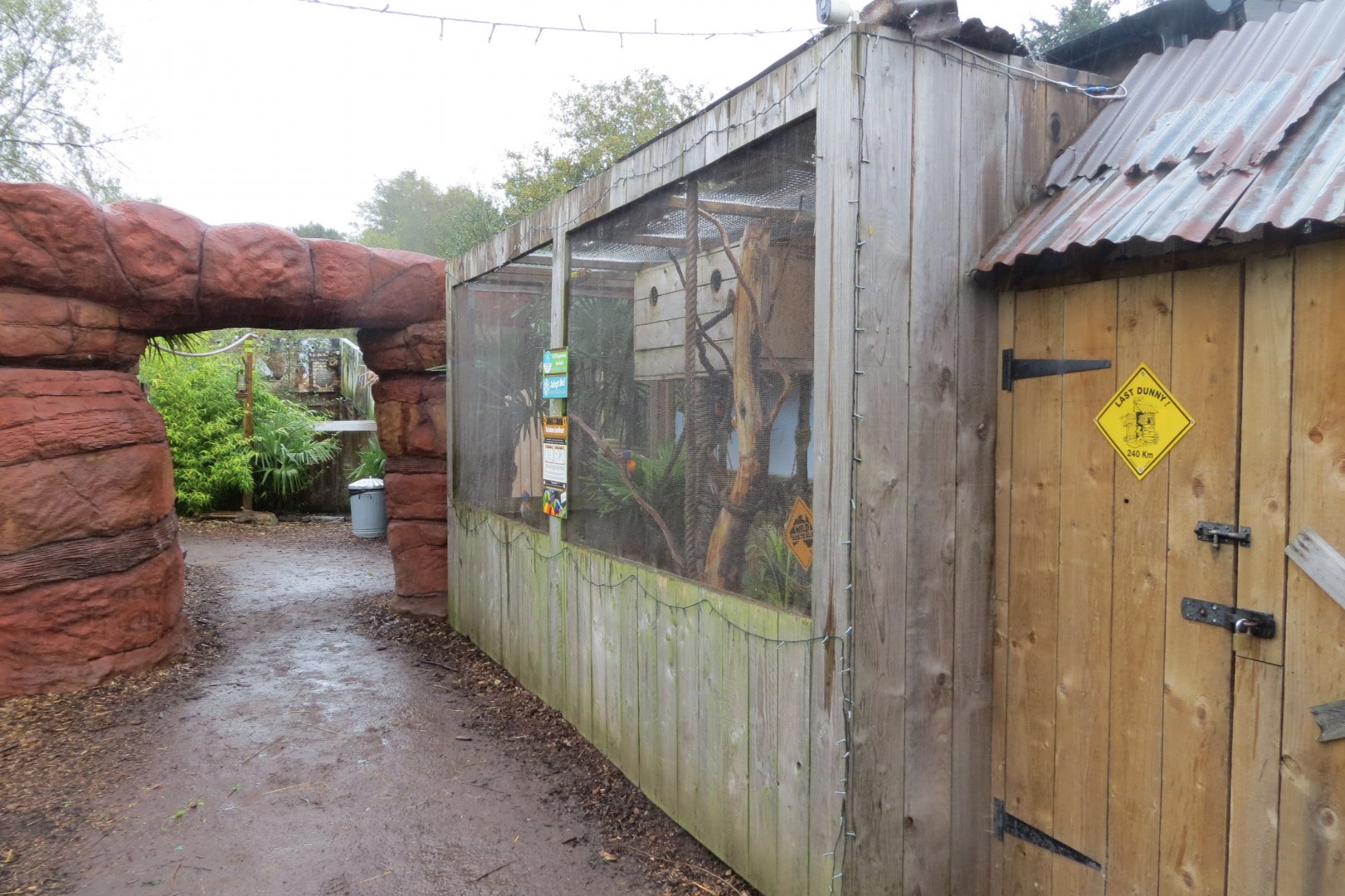 Rainbow lorikeet aviary 251019