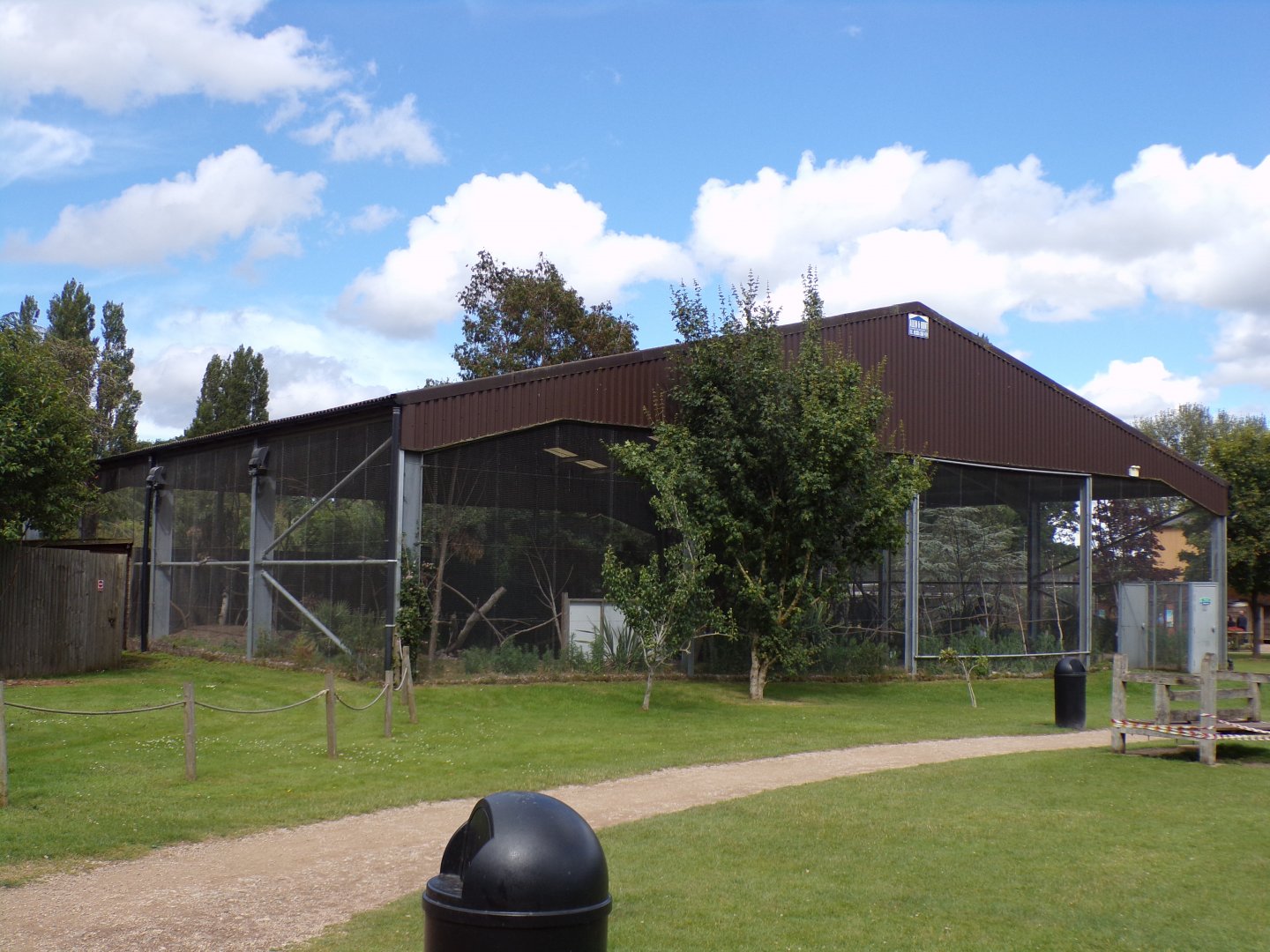 Rainbow lorikeet aviary 7.7.24