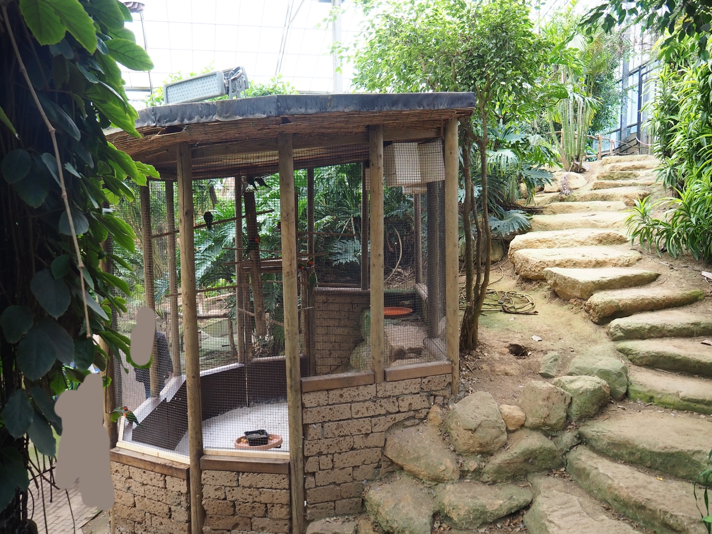 Rainbow lorikeet aviary and stairway (Aug 28th, 2018)
