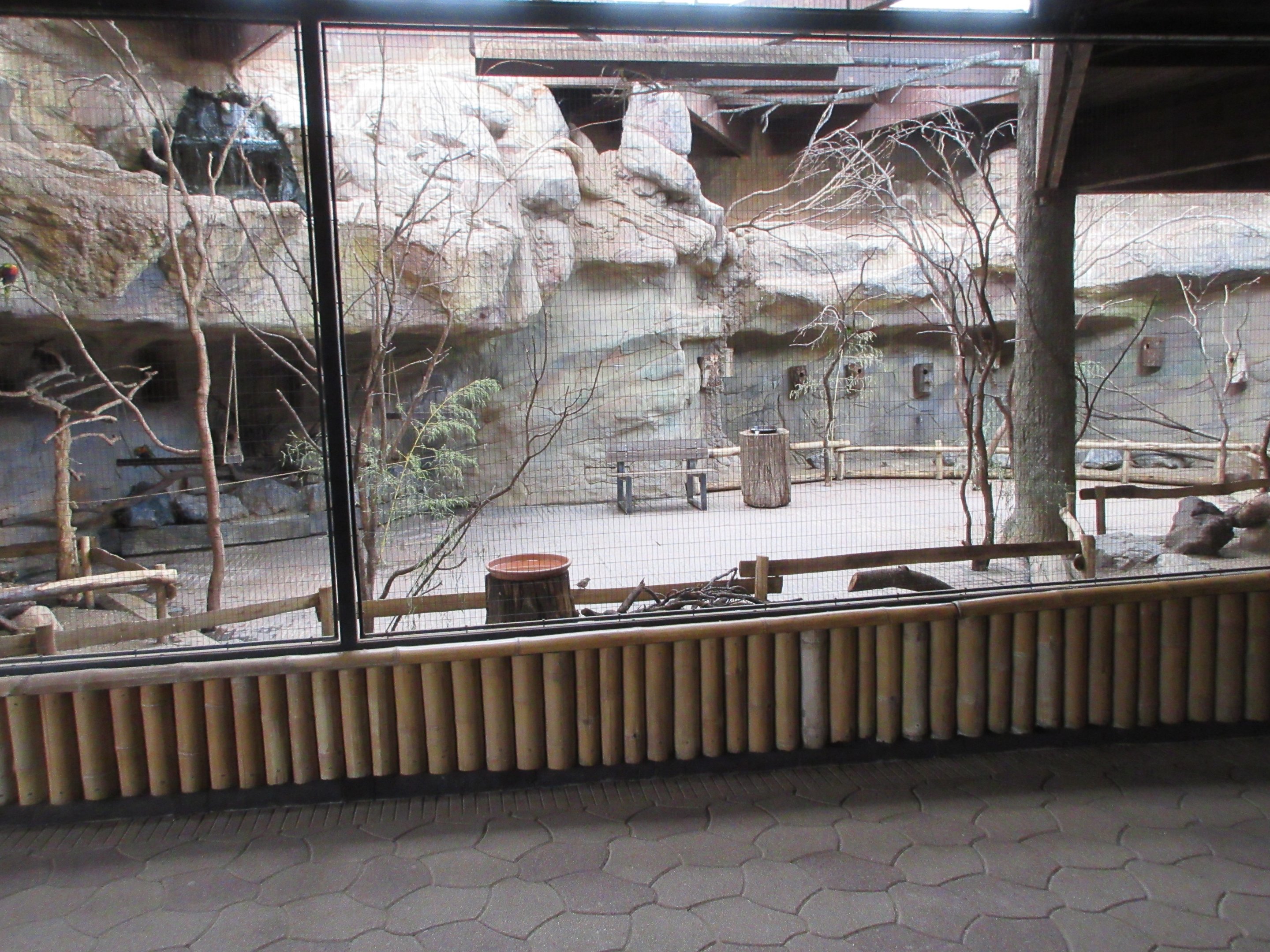 Rainbow Lorikeet Aviary (inside Elephant House)