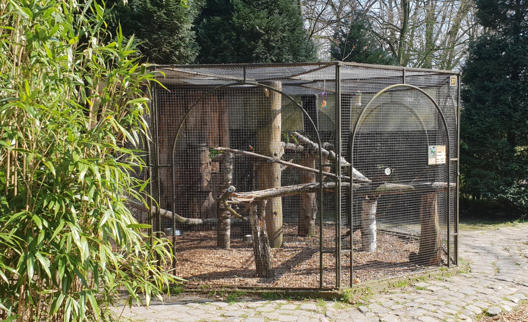 Rainbow lorikeet aviary