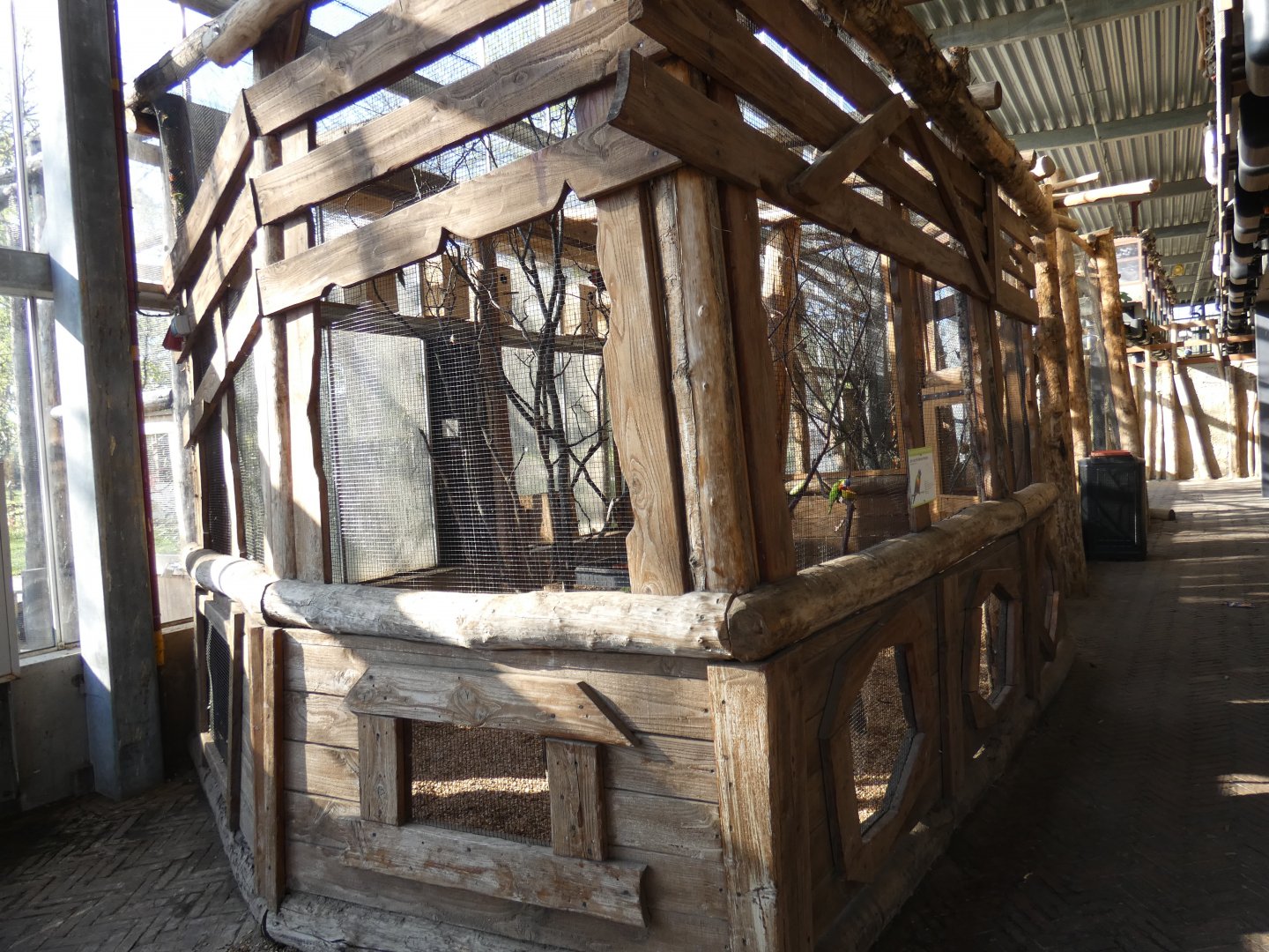 Rainbow lorikeet aviary