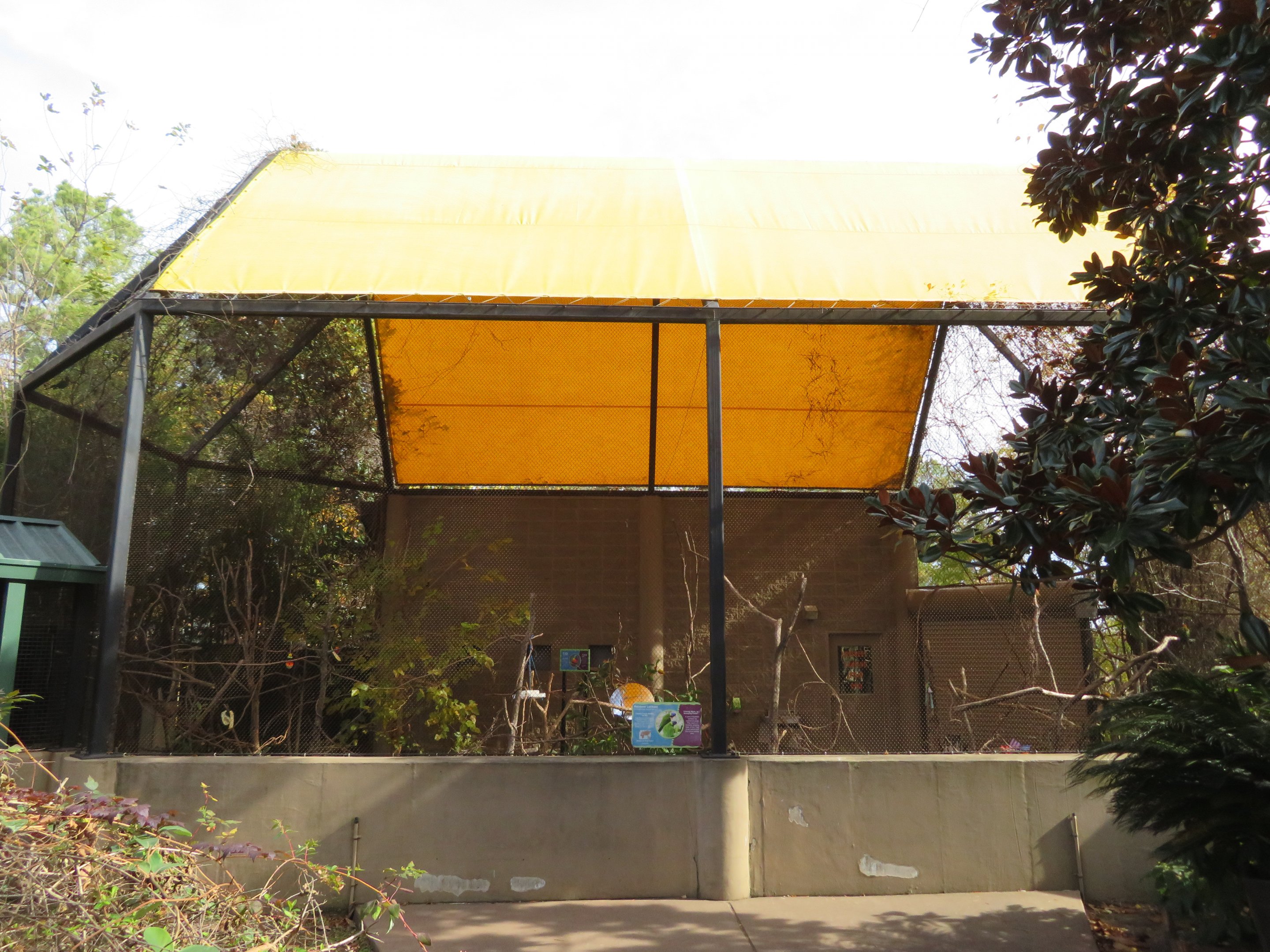 Rainbow Lorikeet Aviary