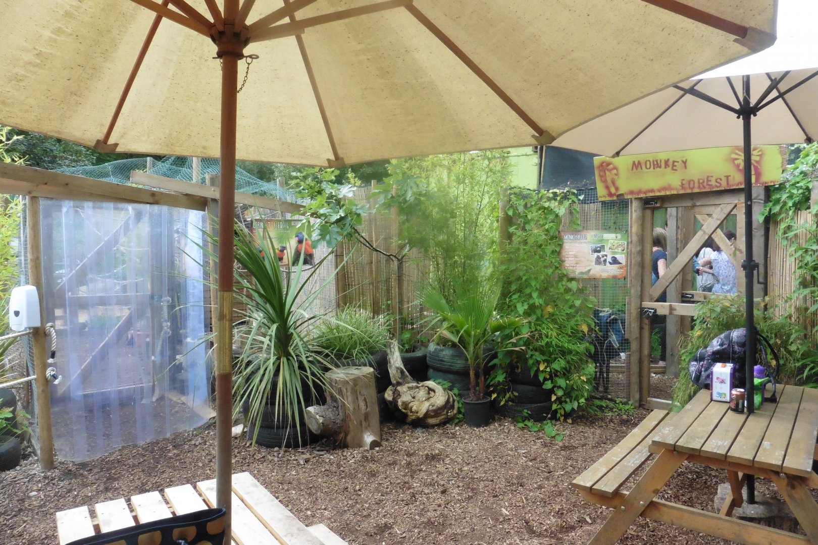 Rainbow Lorikeet (l),Ring-tailed Lemur (r) walkthroughs