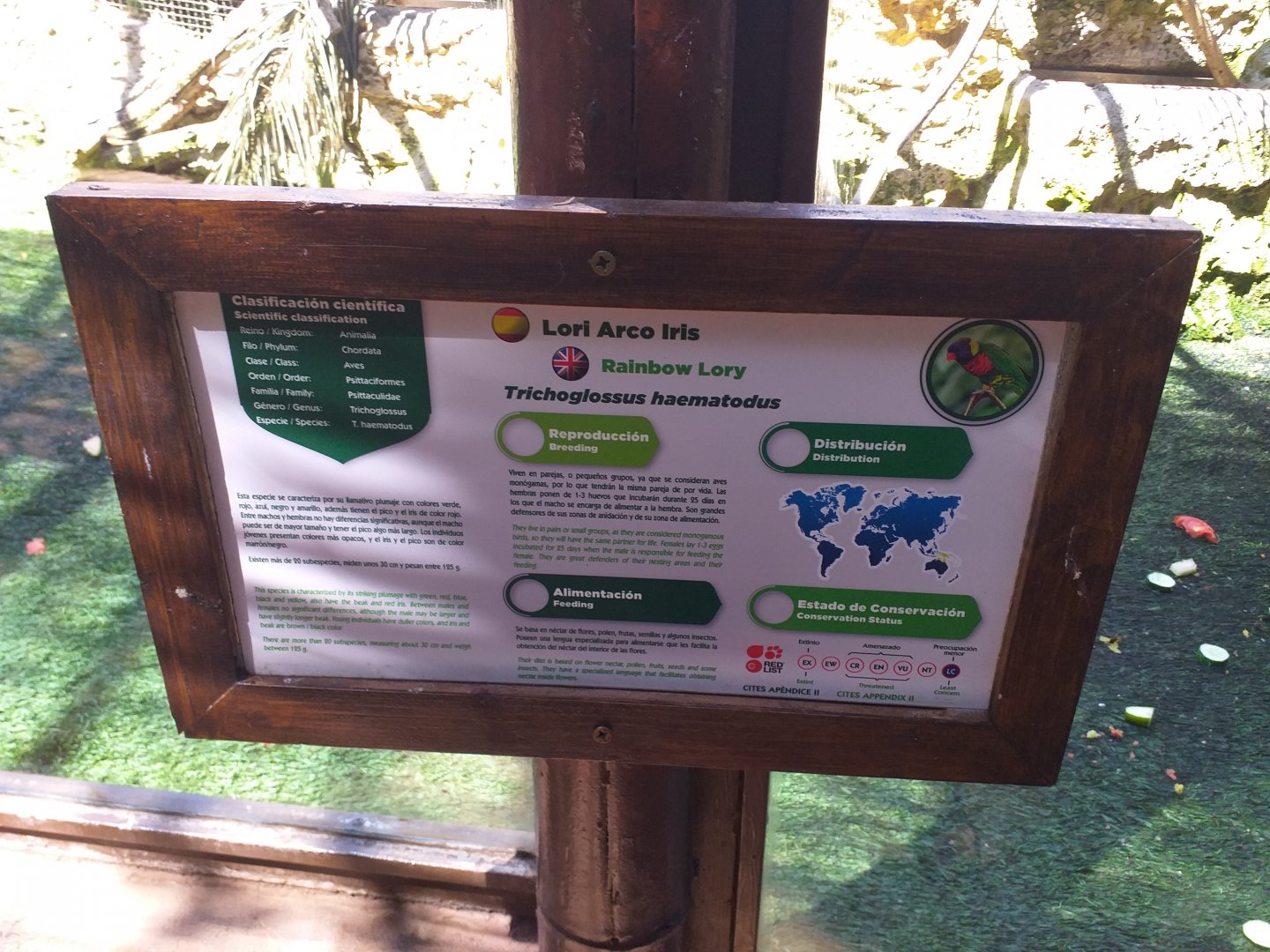 Rainbow lorikeet sign -MundoMar Benidorm (2021)