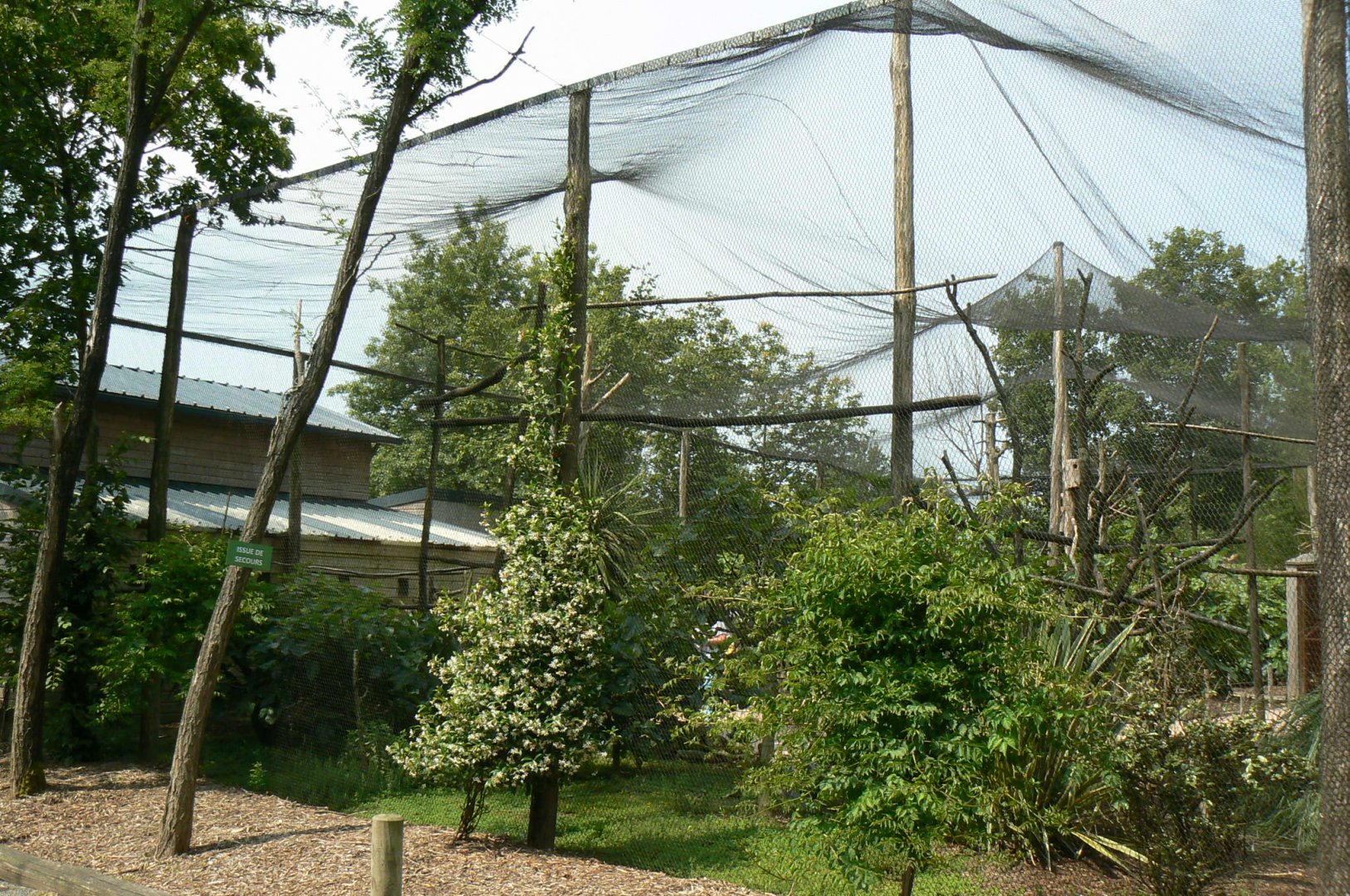 Rainbow lorikeets aviary - outside
