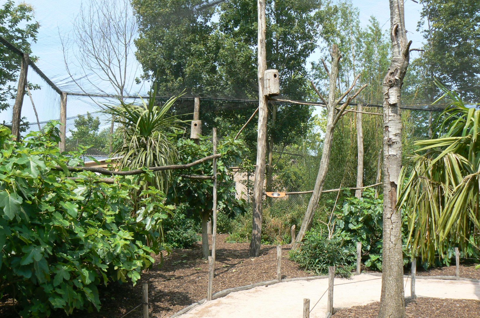 Rainbow lorikeets aviary