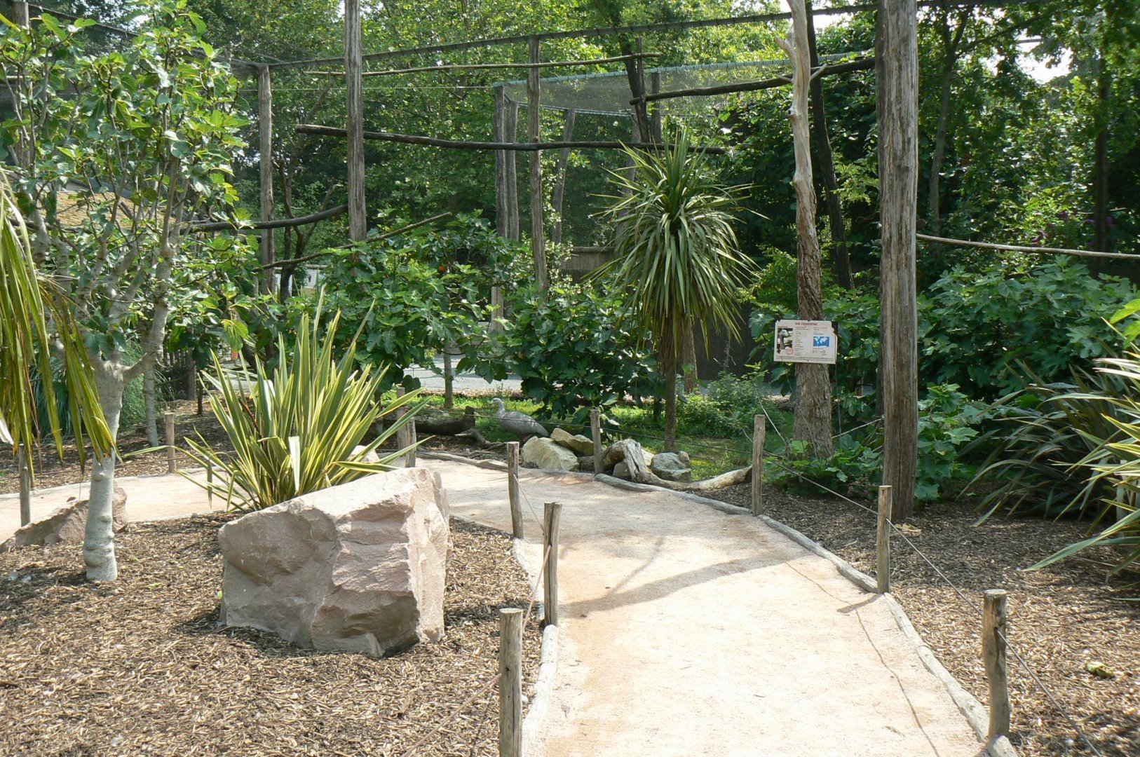 Rainbow lorikeets aviary