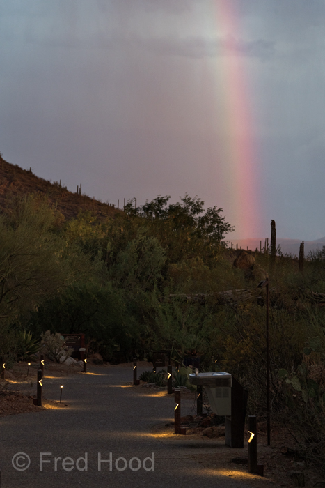 Rainbow over pathway