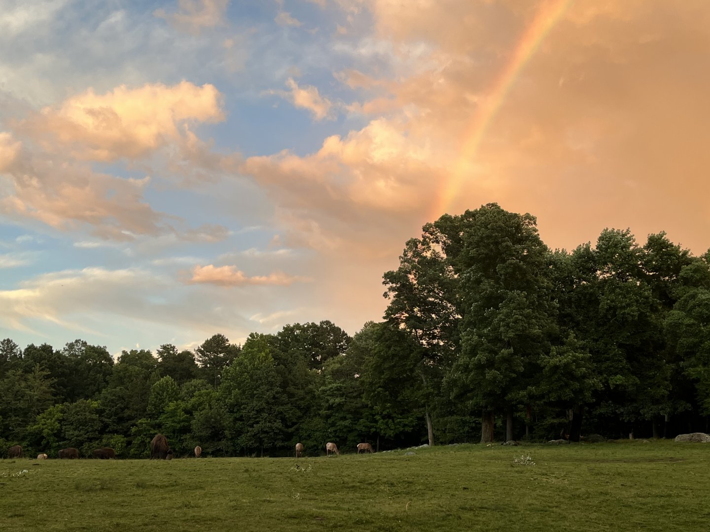Rainbow over Prairie
