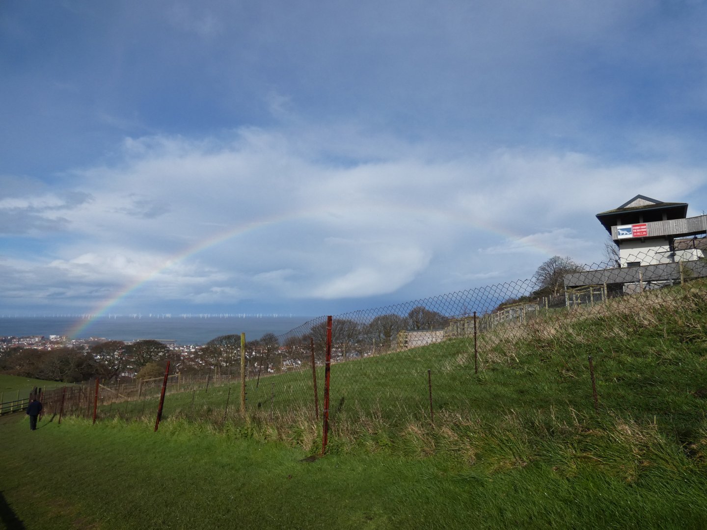 Rainbow over the zoo
