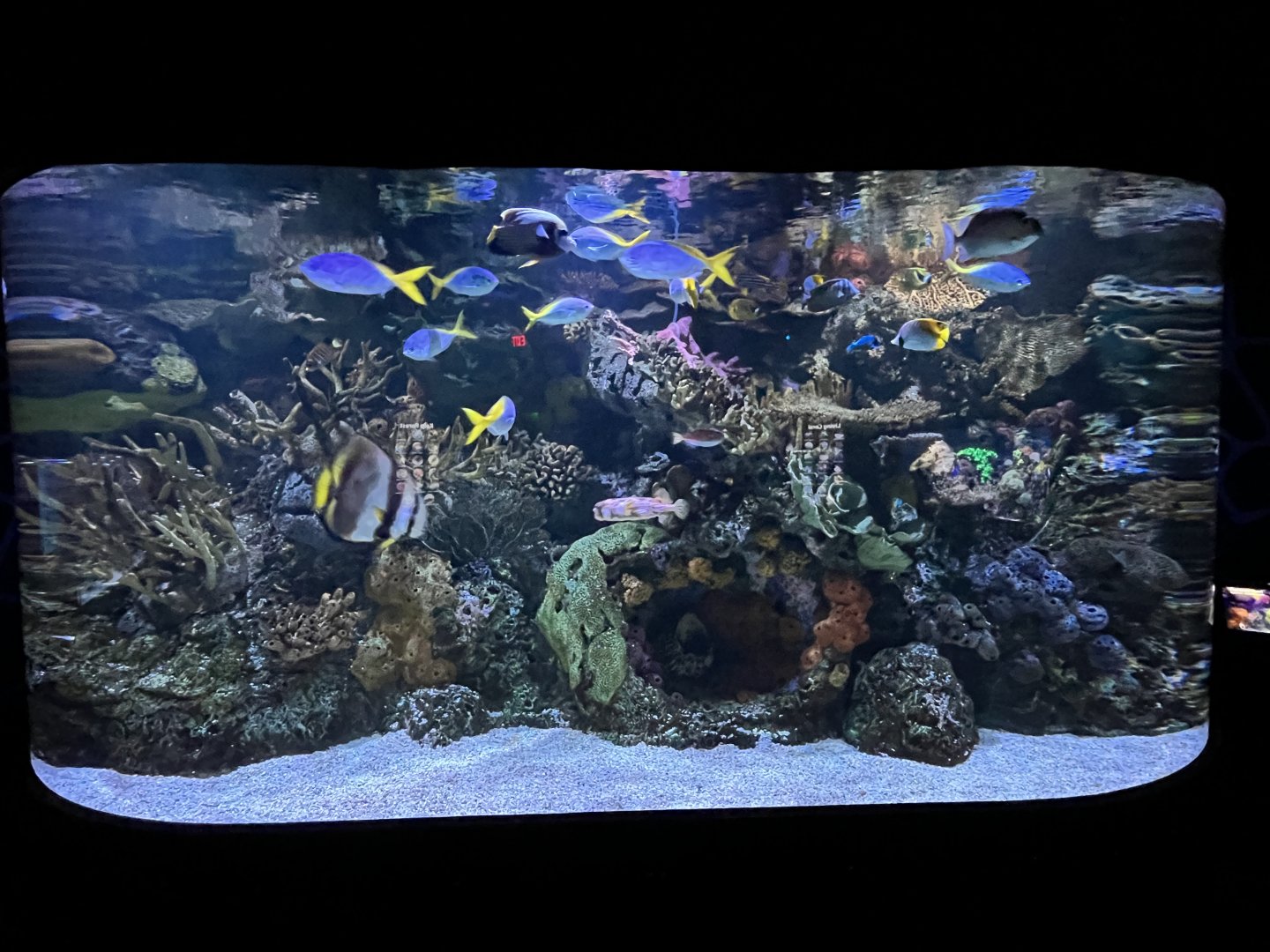 Rainbow Reef