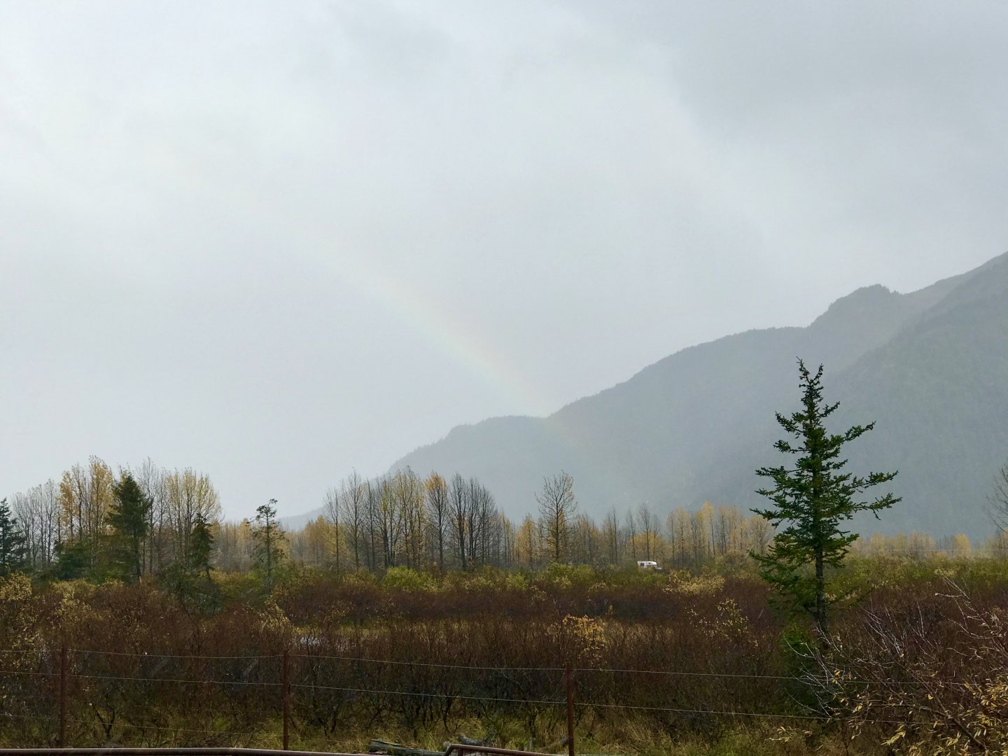 Rainbow shining through over the Brown Bear Exhibit