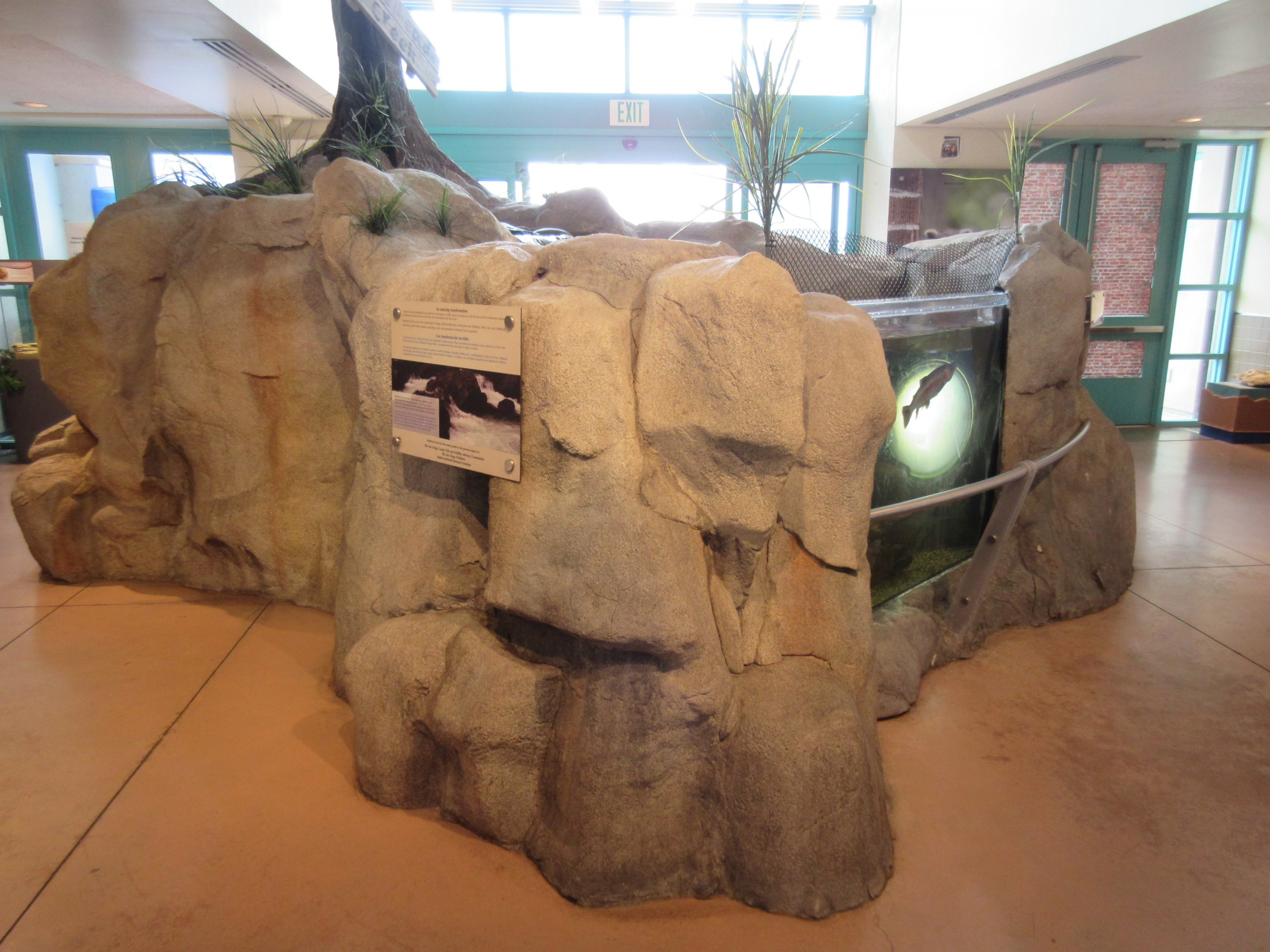Rainbow Trout Exhibit