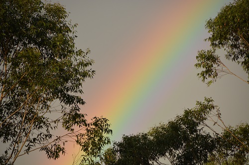 Rainbow.