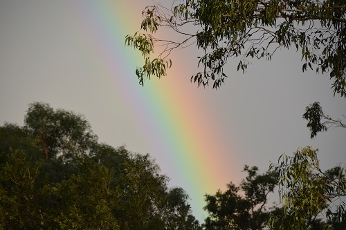 Rainbow.