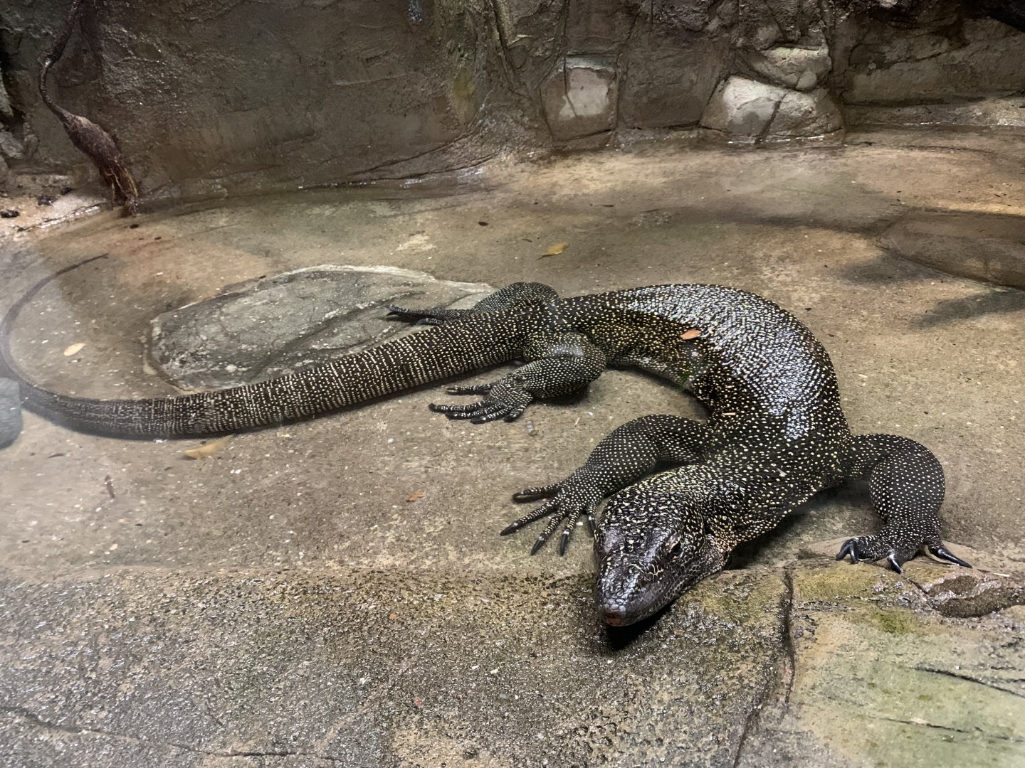 Rainer Günther's monitor