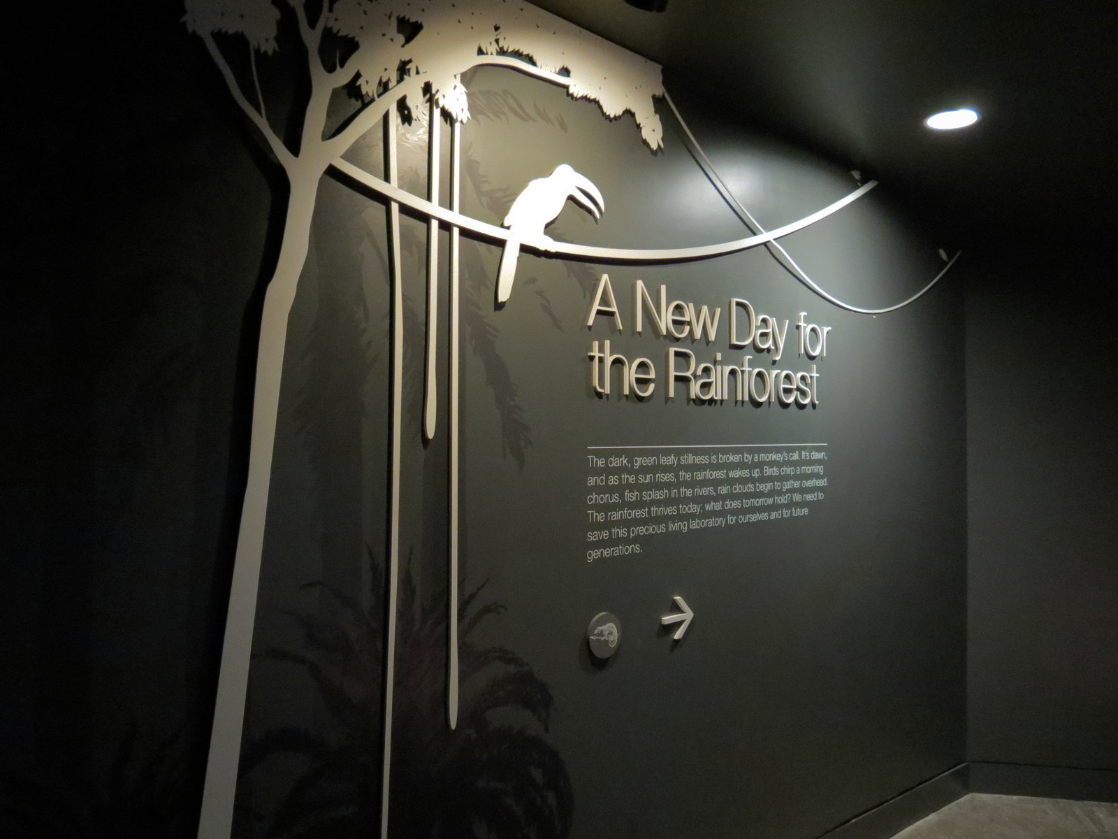 Rainforest - A New Day For The Rainforest (Final Gallery) Sign