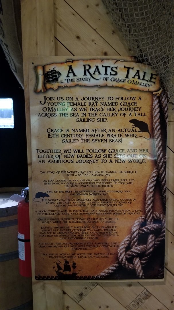 Rainforest Adventures - A Rat's Tale sign