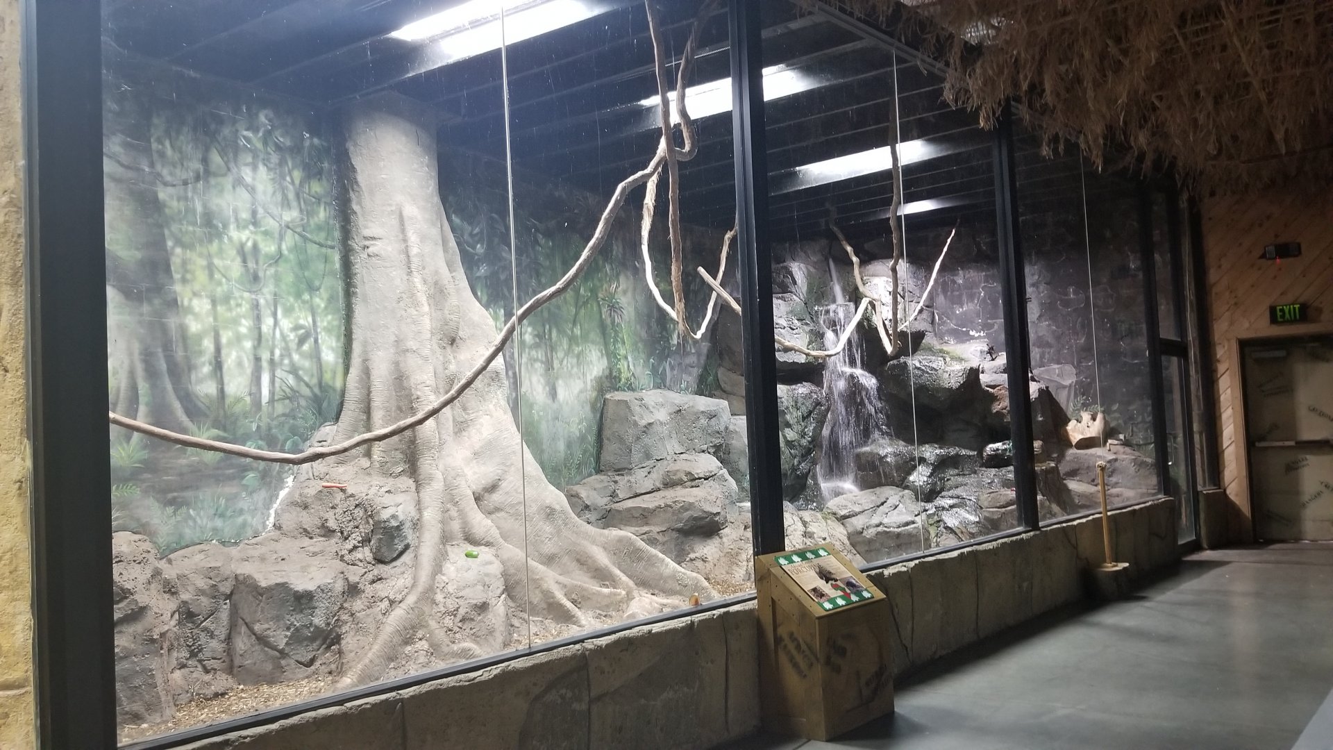 Rainforest Adventures - African Crested Porcupines exhibit