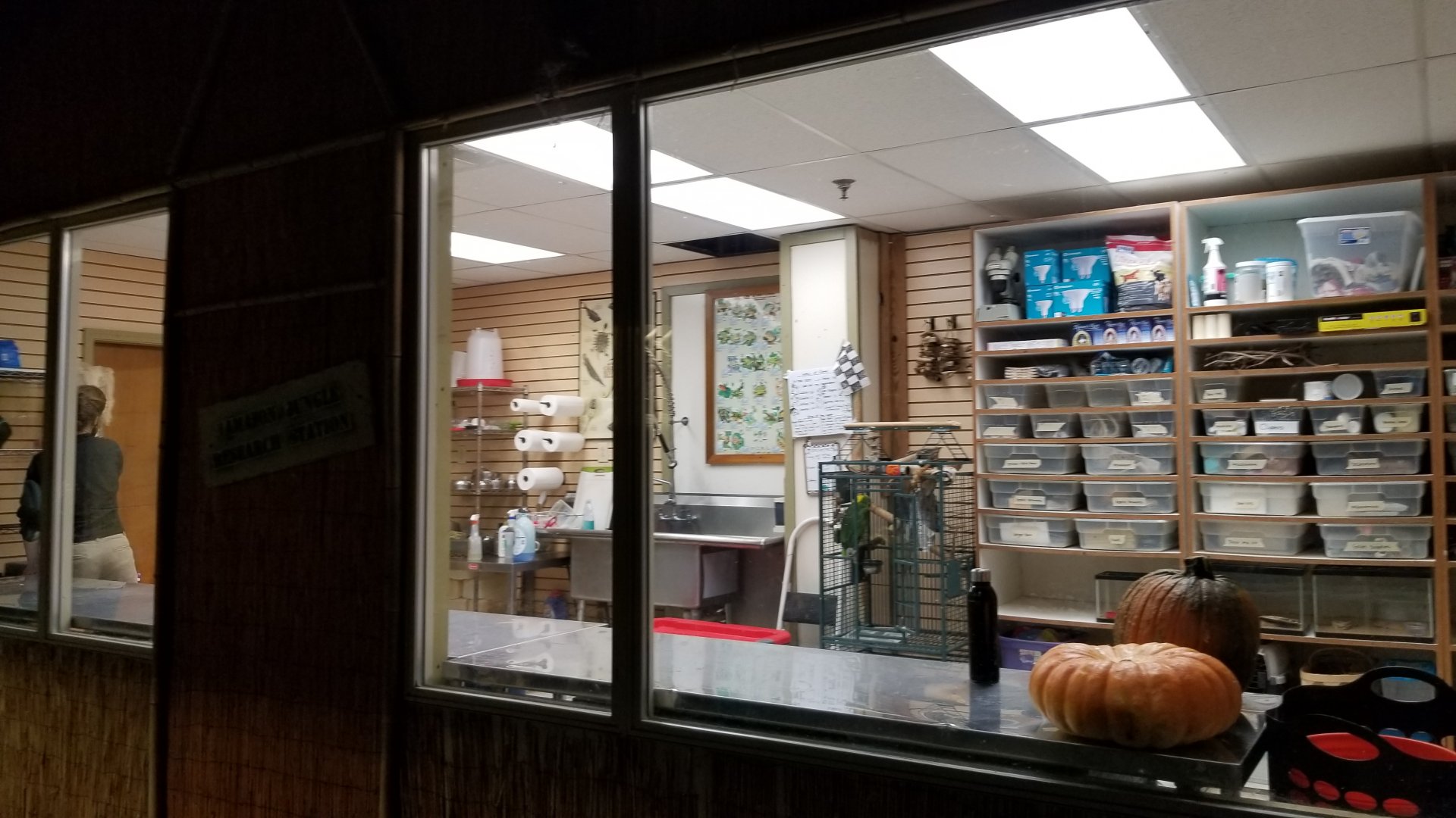 Rainforest Adventures - Area for storing enrichment items, bowls, etc