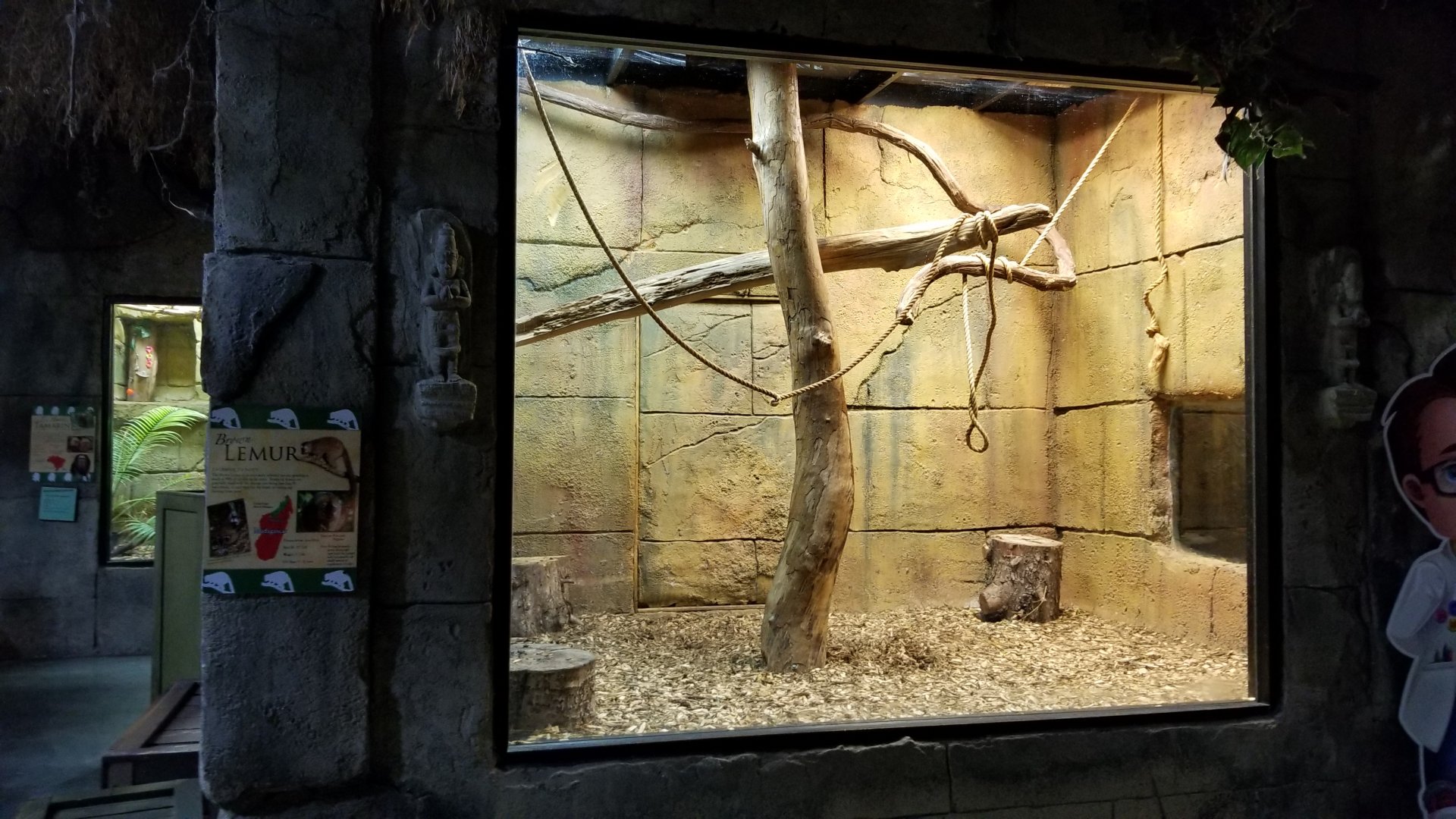 Rainforest Adventures - Brown Lemur exhibit