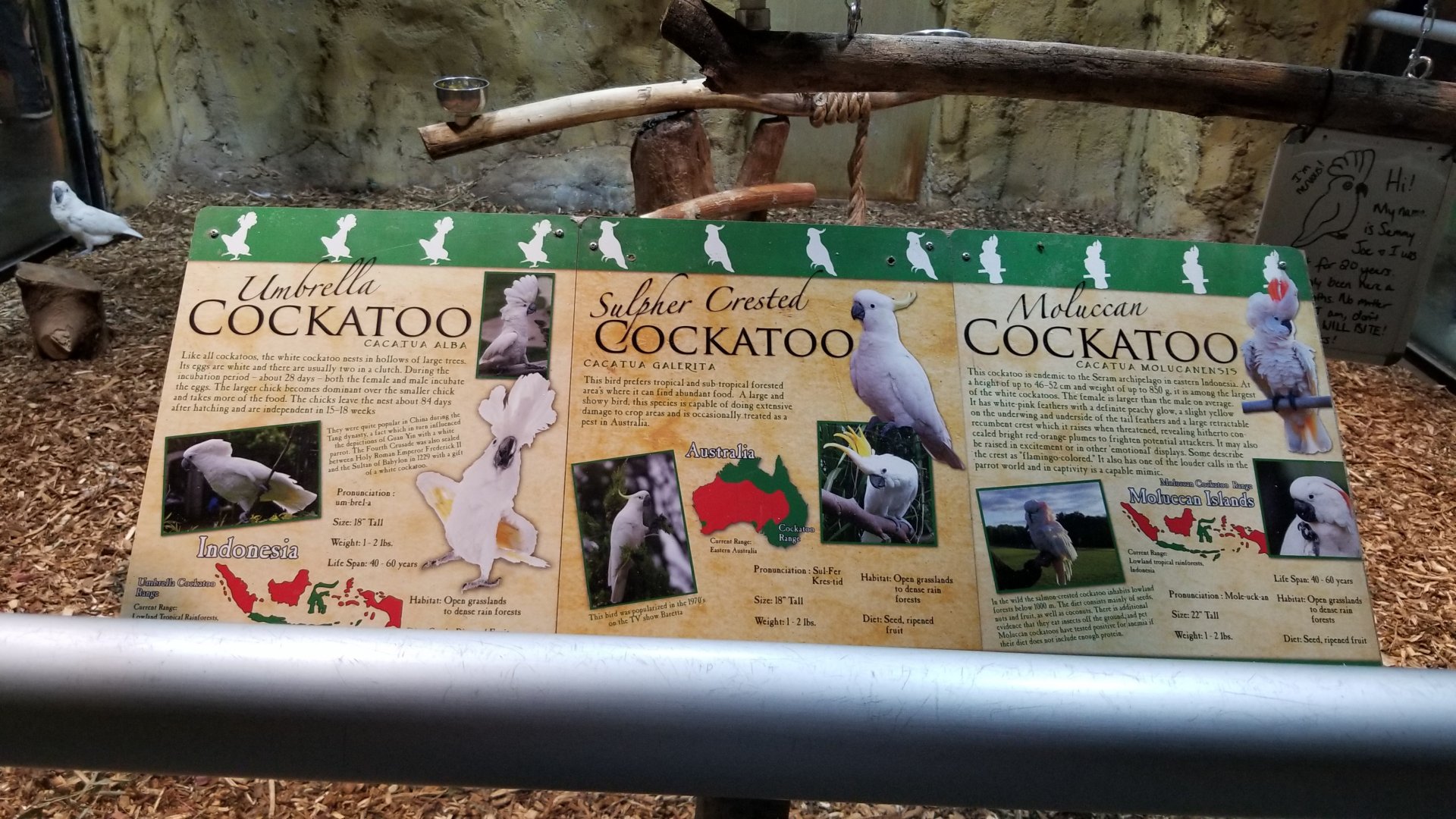 Rainforest Adventures - Cockatoo signs